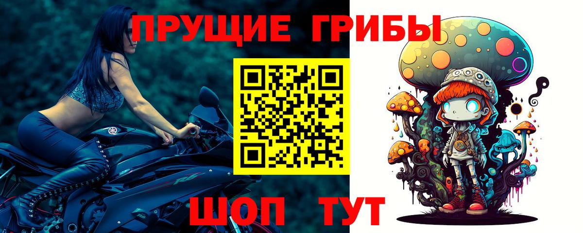Кузнецк  сколько стоит  Вход с VPN  Псилоцибиновые грибы прущие грибы 