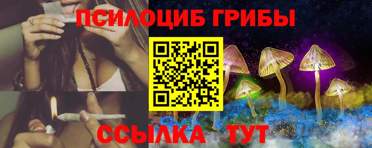 Галлюциногенные грибы прущие грибы Кузнецк